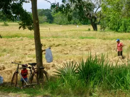 levenenwerken levenenwerken